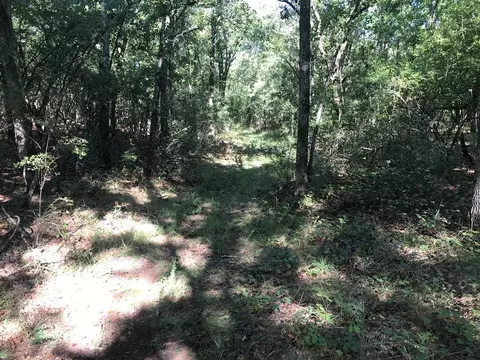 462 Colbert Bridge Rd, Windsor, SC 29856 photo 13