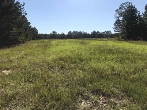 462 Colbert Bridge Rd, Windsor, SC 29856 photo 10