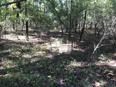 462 Colbert Bridge Rd, Windsor, SC 29856 photo 4