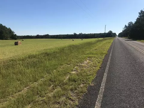 462 Colbert Bridge Rd, Windsor, SC 29856 photo 2