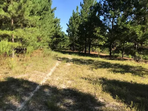 462 Colbert Bridge Rd, Windsor, SC 29856 photo 5