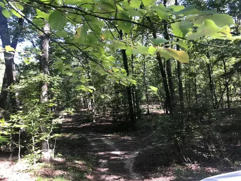 462 Colbert Bridge Rd, Windsor, SC 29856 photo 11