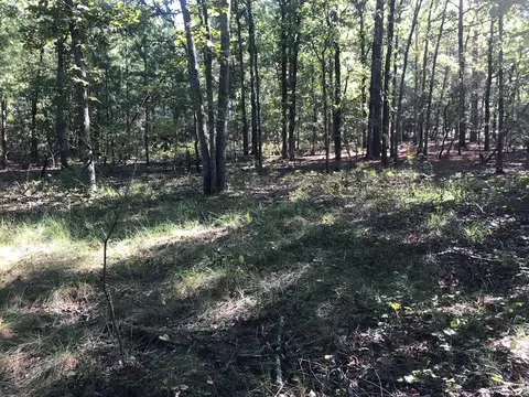 462 Colbert Bridge Rd, Windsor, SC 29856 photo 6