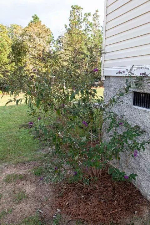 894 State Park Rd, Windsor, SC 29856 photo 33