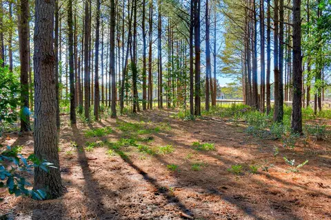 233 Implement Rd, Aiken, SC 29803 photo 3