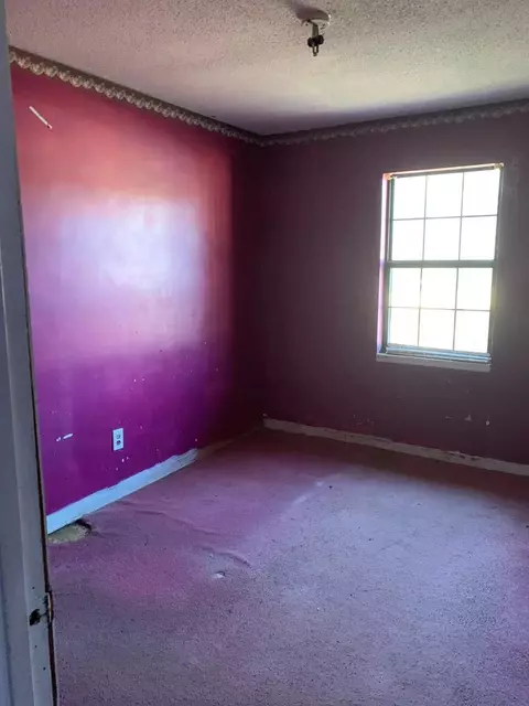 211 Blue Springs Rd, Saluda, SC 29138 photo 13