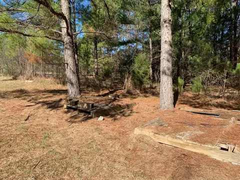 211 Blue Springs Rd, Saluda, SC 29138 photo 6