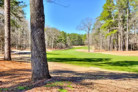 30 Juniper Loop, Aiken, SC 29803 photo 49