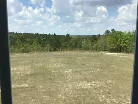 801 River Rd, Salley, SC 29137 photo 31