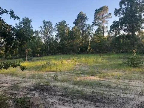 267 Whitetail Dr, Williston, SC 29853 photo 1