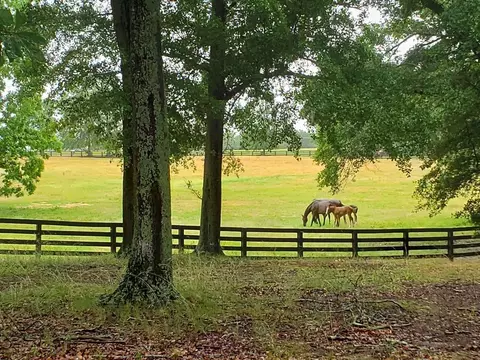 lot27 Tumbleweed Dr, Aiken, SC 29805