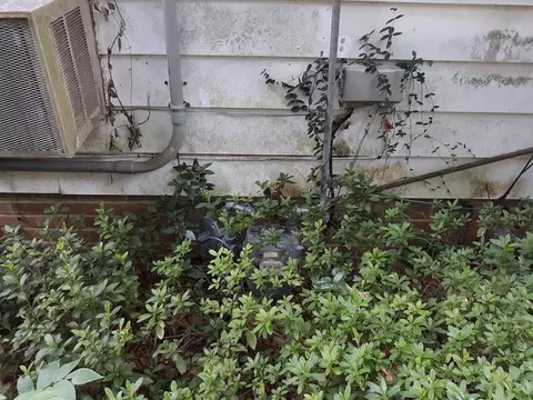 32 34 Hemlock Ave, Denmark, SC 29042 photo 7