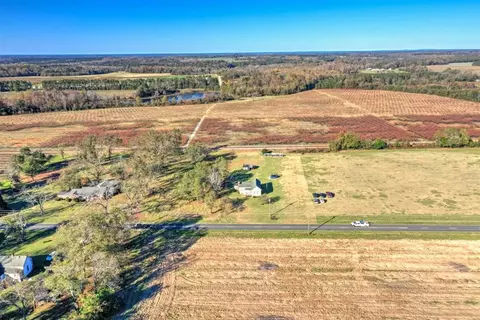 229 Early Sims Rd, Monetta, SC 29105 photo 6