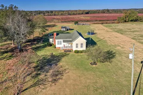 229 Early Sims Rd, Monetta, SC 29105 photo 4