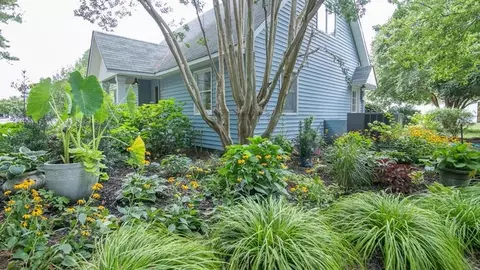 186 Wise Hollow Rd, Aiken, SC 29803 photo 34