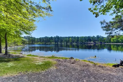 721 Abney Rd, Monetta, SC 29105 photo 17