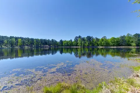 721 Abney Rd, Monetta, SC 29105 photo 16
