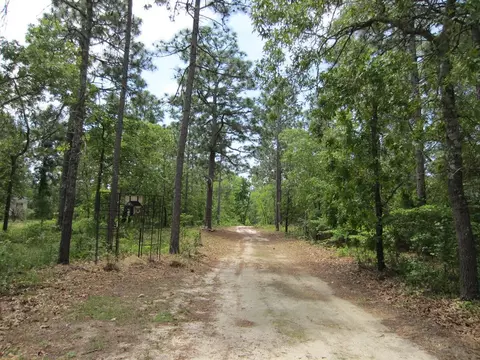 605 Colbert Bridge Rd, Windsor, SC 29856 photo 18