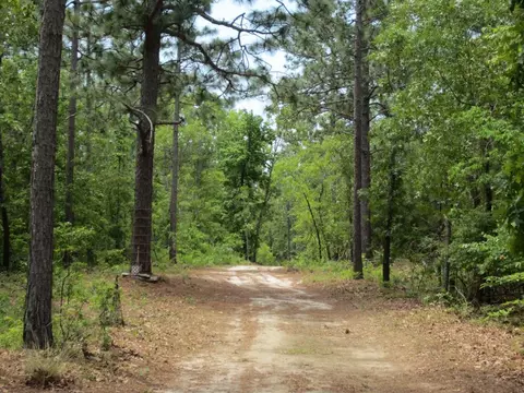 605 Colbert Bridge Rd, Windsor, SC 29856 photo 17