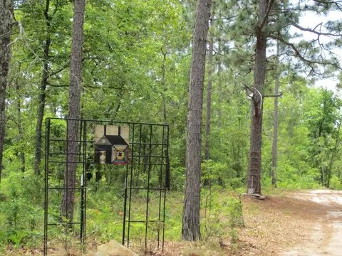 605 Colbert Bridge Rd, Windsor, SC 29856 photo 26