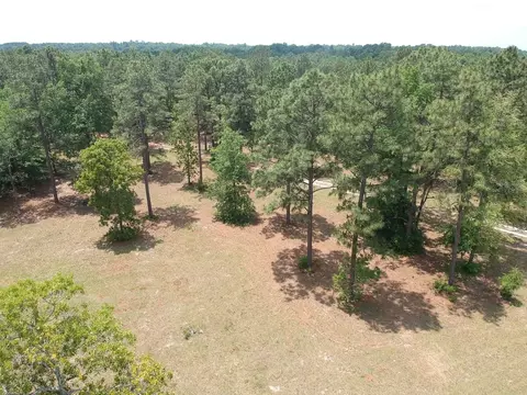 1374 Monarch Rd, Williston, SC 29853 photo 17