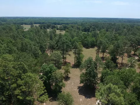 1374 Monarch Rd, Williston, SC 29853 photo 14