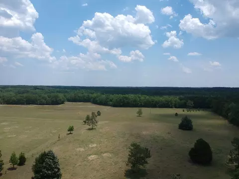 1374 Monarch Rd, Williston, SC 29853 photo 21