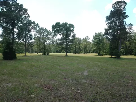 1374 Monarch Rd, Williston, SC 29853 photo 15