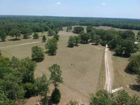 1374 Monarch Rd, Williston, SC 29853 photo 1