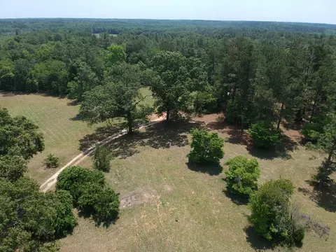 1374 Monarch Rd, Williston, SC 29853 photo 5