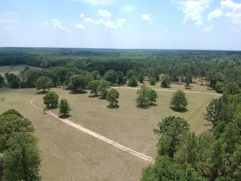 1374 Monarch Rd, Williston, SC 29853 photo 18