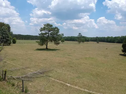 1374 Monarch Rd, Williston, SC 29853 photo 25