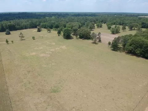 1374 Monarch Rd, Williston, SC 29853 photo 19