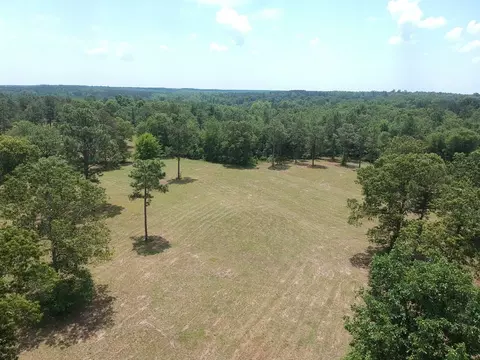 1374 Monarch Rd, Williston, SC 29853 photo 16