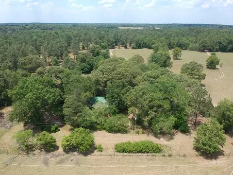 1374 Monarch Rd, Williston, SC 29853 photo 3