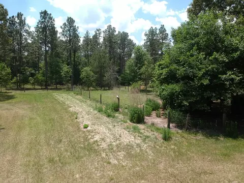 1374 Monarch Rd, Williston, SC 29853 photo 22