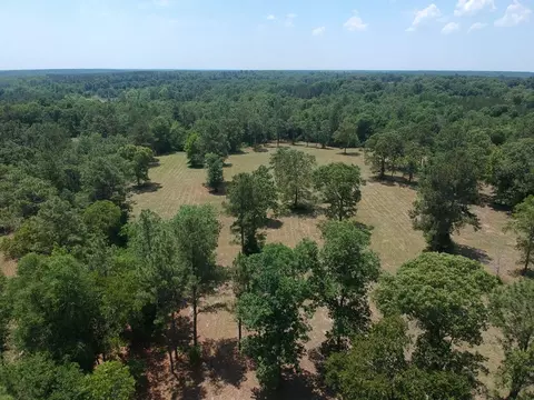 1374 Monarch Rd, Williston, SC 29853 photo 13