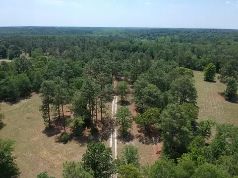 1374 Monarch Rd, Williston, SC 29853 photo 2