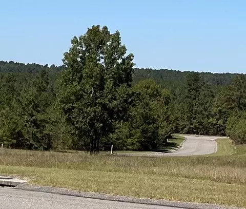 lot59 High Country Ct, Windsor, SC 29856