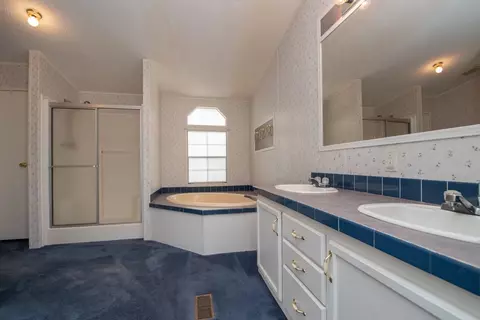 1361 Dairy Rd, Ridge Spring, SC 29129 photo 19