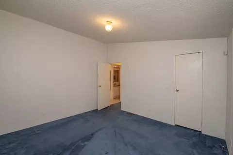 1361 Dairy Rd, Ridge Spring, SC 29129 photo 27