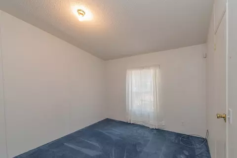 1361 Dairy Rd, Ridge Spring, SC 29129 photo 23