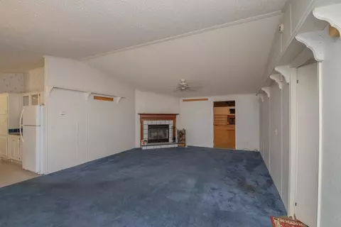 1361 Dairy Rd, Ridge Spring, SC 29129 photo 4