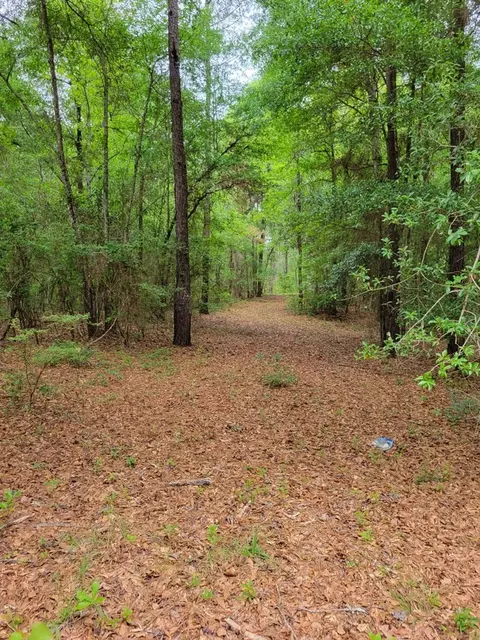 1621 Windsor Rd # A, Springfield, SC 29856 photo 2