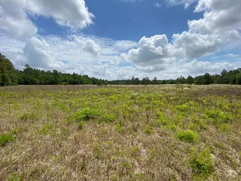 13 962 Acr State Park Rd, Windsor, SC 29856 photo 5