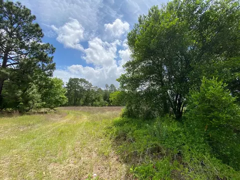 13 962 Acr State Park Rd, Windsor, SC 29856 photo 7