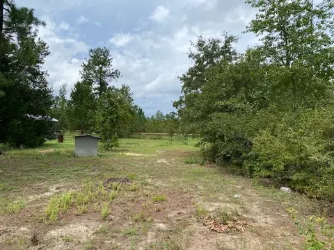 260 Whitetail Dr, Williston, SC 29853 photo 27