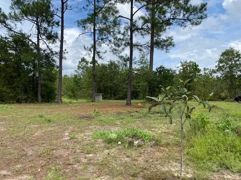 260 Whitetail Dr, Williston, SC 29853 photo 21