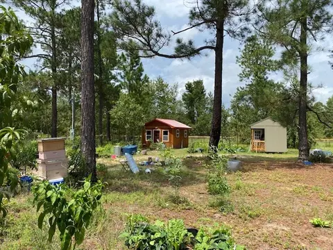 260 Whitetail Dr, Williston, SC 29853 photo 24