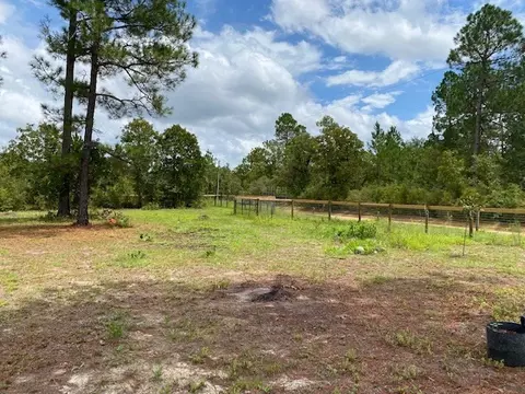 260 Whitetail Dr, Williston, SC 29853 photo 18
